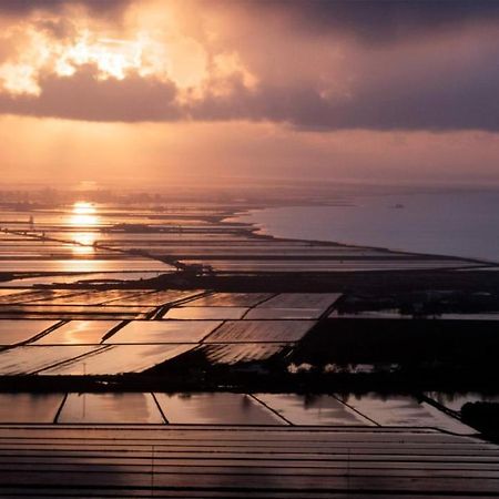 Entrellacunes El Poble Nou del Delta Exteriör bild