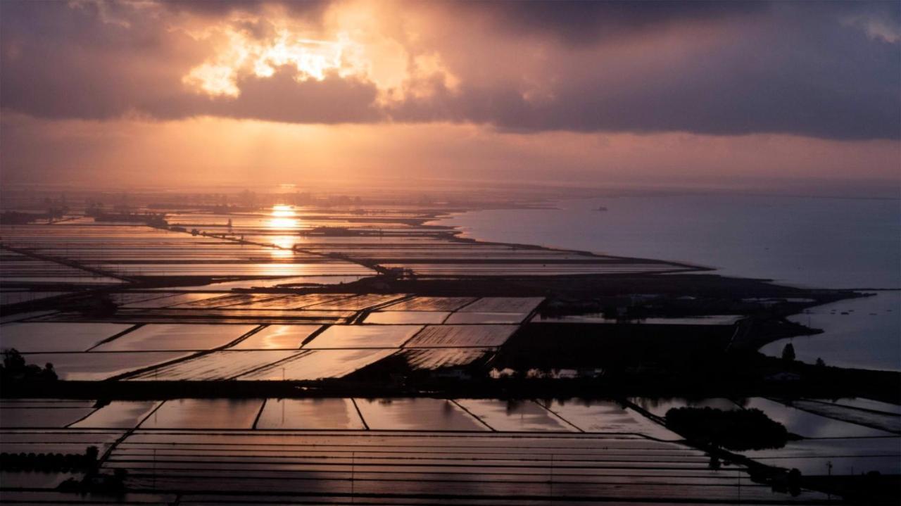 Entrellacunes El Poble Nou del Delta Exteriör bild